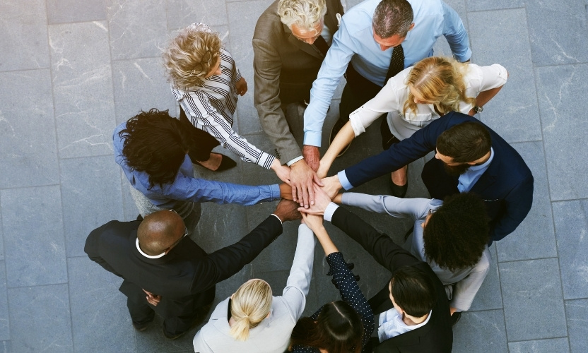 Team Building and Collaboration 